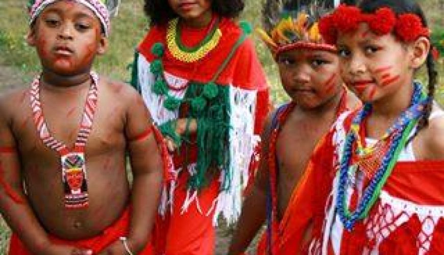 The Indigenous Peoples: The Original Guardians of Suriname
