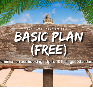 BASIC PLAN (FREE)