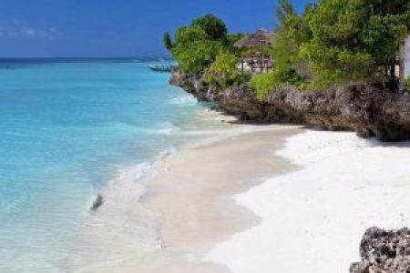 ​The Ultimate Zanzibar Guided Tours